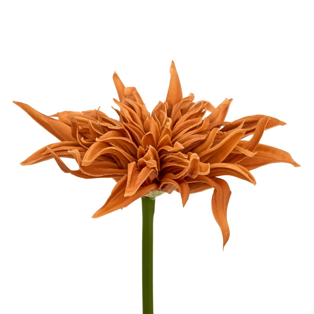 Tige de Fleur mousse Osmond Jaune H55cm