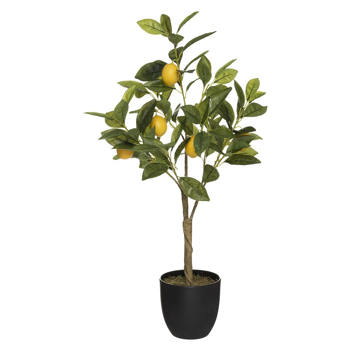 Arbre artificiel Citronnier Cazoikas H70cm