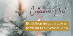 Flora Déco Collection Noël 2026 Expédition dès le 13 Novembre 2026