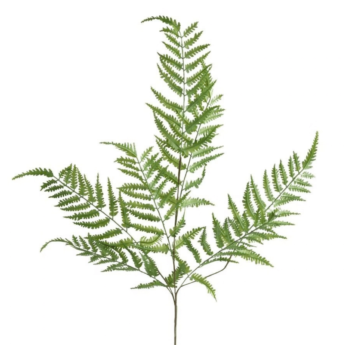 Tige Feuillage Artificiel Fougère Vinty Vert H90cm